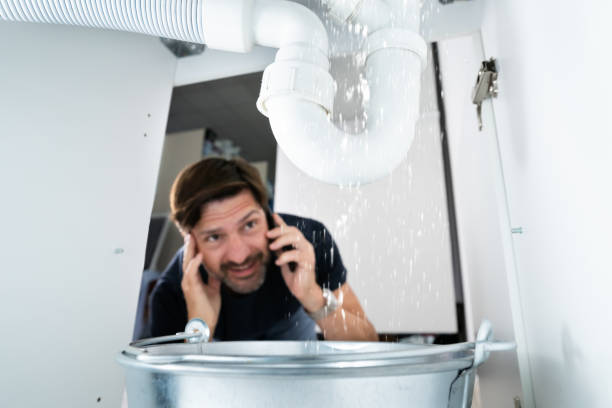 Best Septic Systems  in Jackson, MI