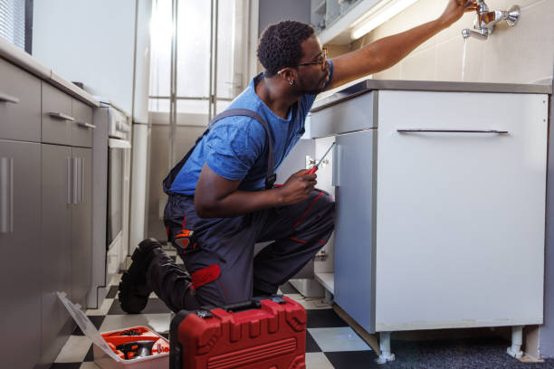 Best Plumbing Inspection Services  in Jackson, MI