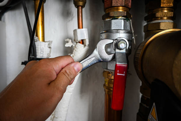 Best Residential Plumbing Services  in Jackson, MI